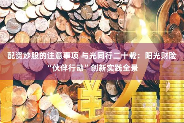 配资炒股的注意事项 与光同行二十载：阳光财险“伙伴行动”创新实践全景