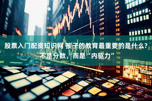 股票入门配资知识网 孩子的教育最重要的是什么? 不是分数，而是“内驱力”