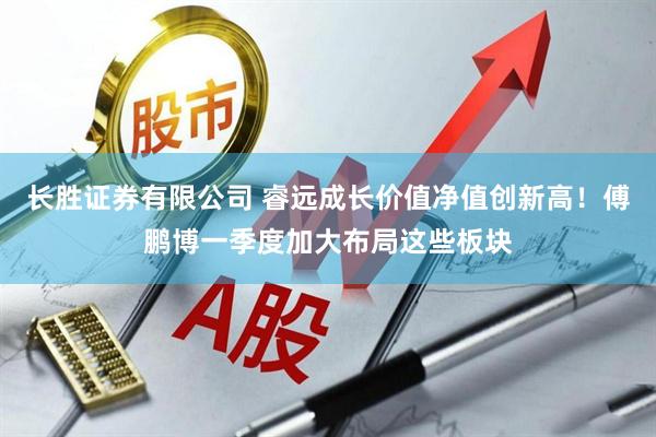 长胜证券有限公司 睿远成长价值净值创新高！傅鹏博一季度加大布局这些板块